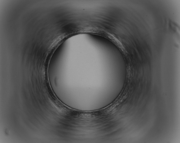 X0000091850298200709261213