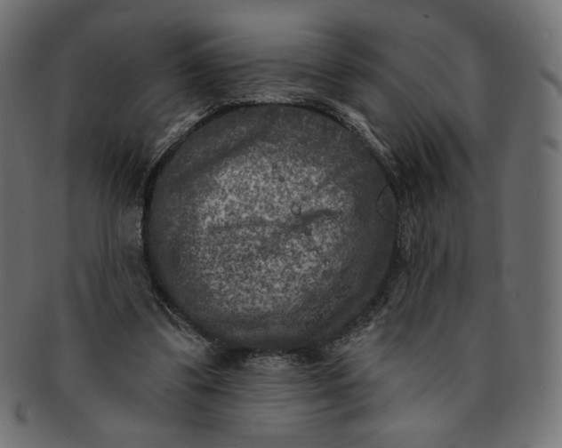 X0000091850299200709261213