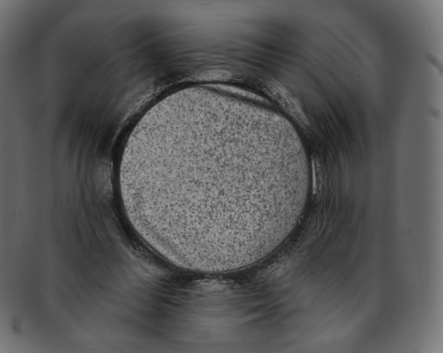 X0000091850300200709261213