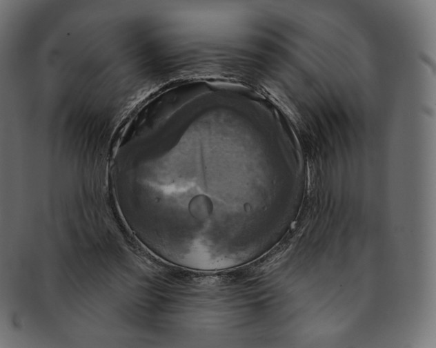 X0000091850301200709261213