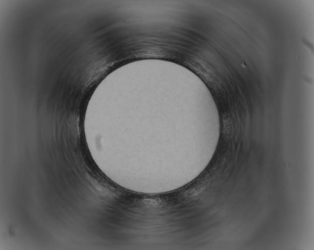 X0000091850302200709261213