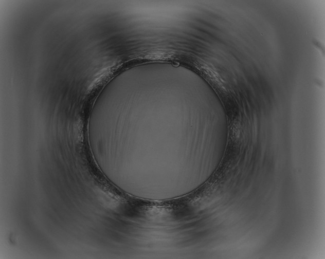 X0000091850303200709261213