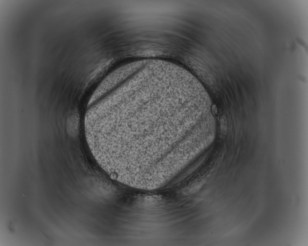 X0000091850304200709261213