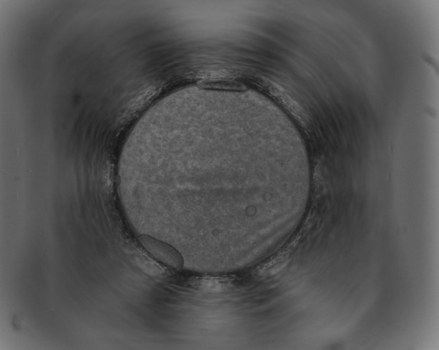 X0000091850305200709261213