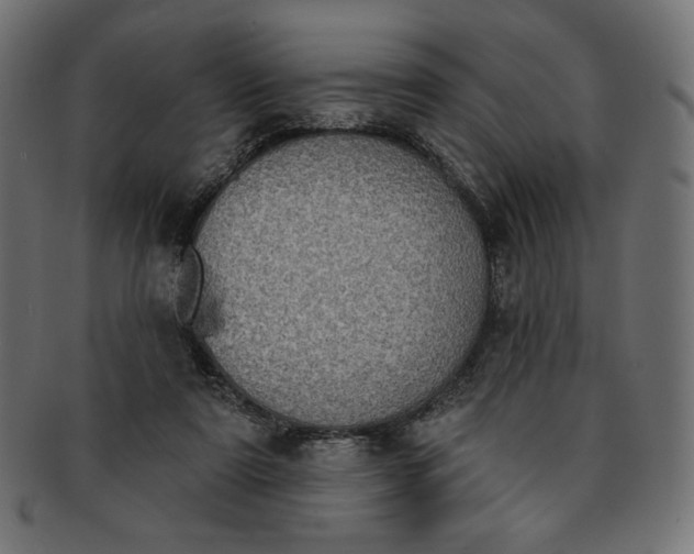 X0000091850307200709261213