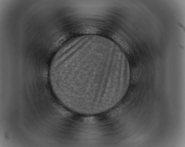 X0000091850309200709261213