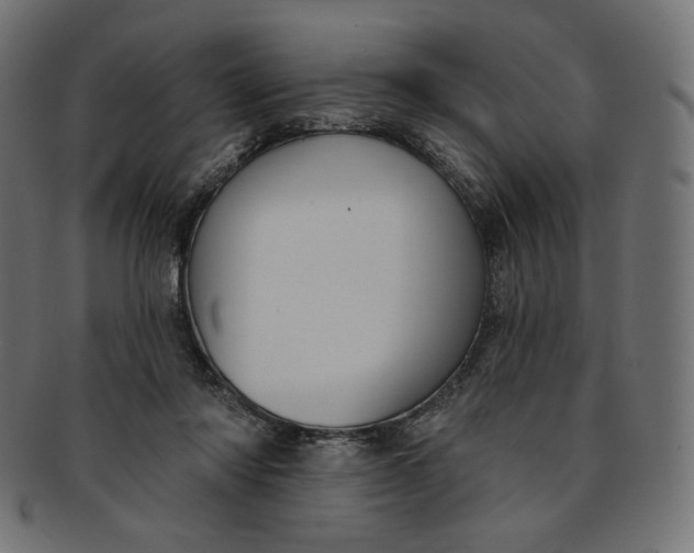 X0000091850310200709261213