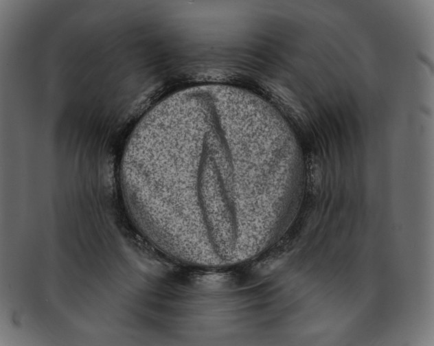 X0000091850312200709261212