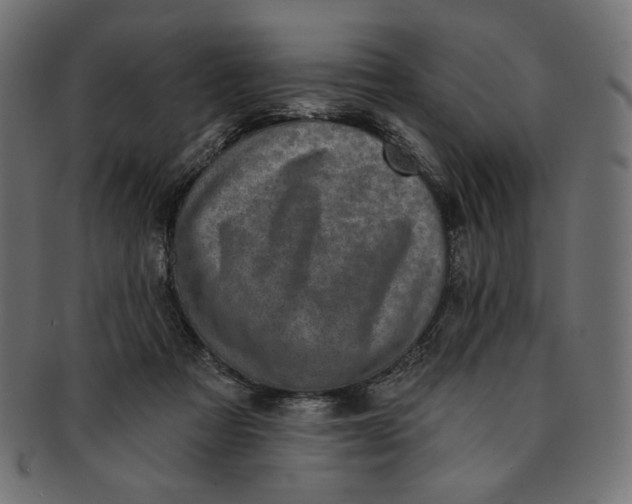 X0000091850313200709261212