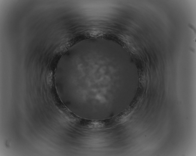 X0000091850319200709261212