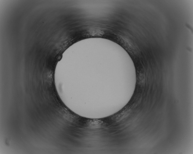 X0000091850321200709261212