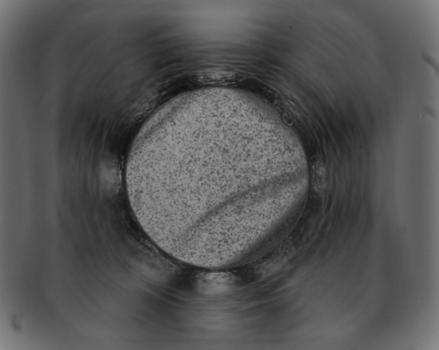 X0000091850324200709261212