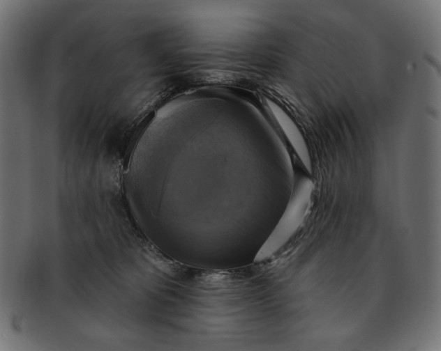 X0000091850325200709261212