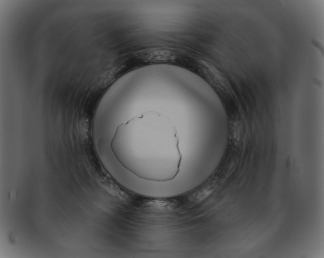 X0000091850326200709261212