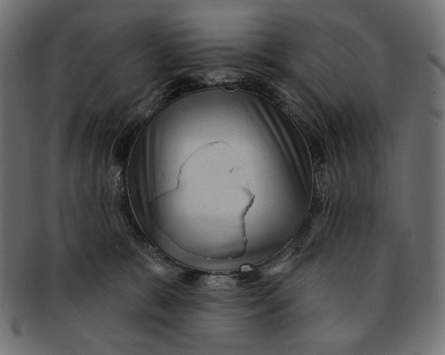 X0000091850327200709261212