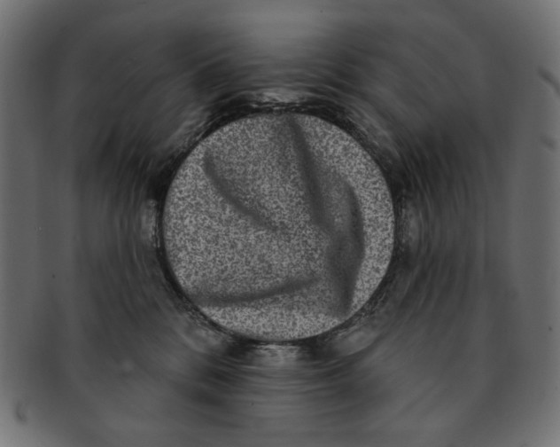 X0000091850328200709261212