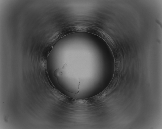 X0000091850329200709261212