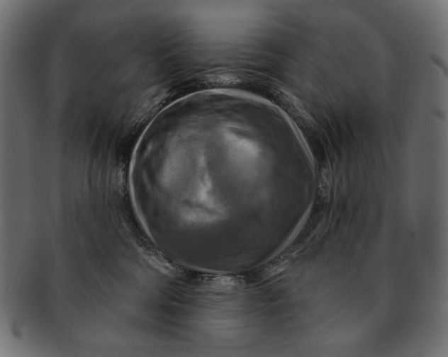 X0000091850330200709261212