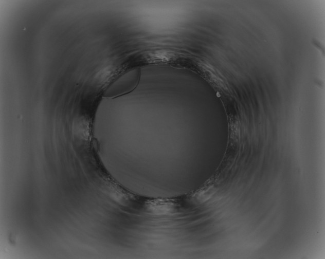 X0000091850331200709261212