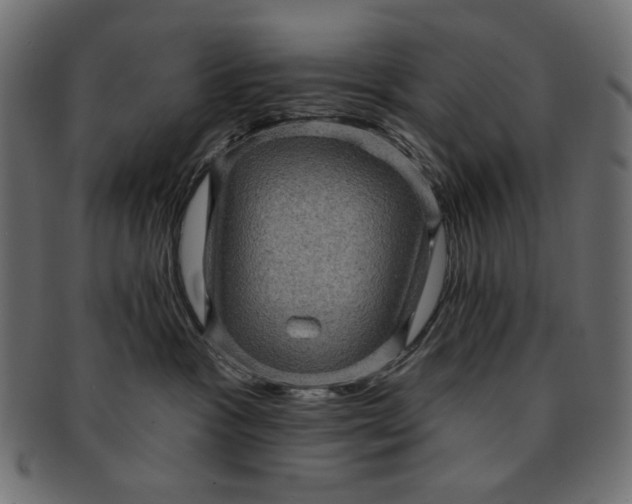 X0000091850333200709261212