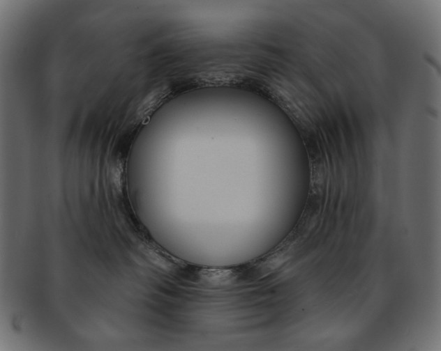 X0000091850334200709261212