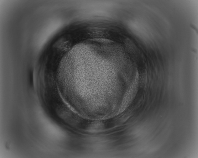 X0000091850335200709261212