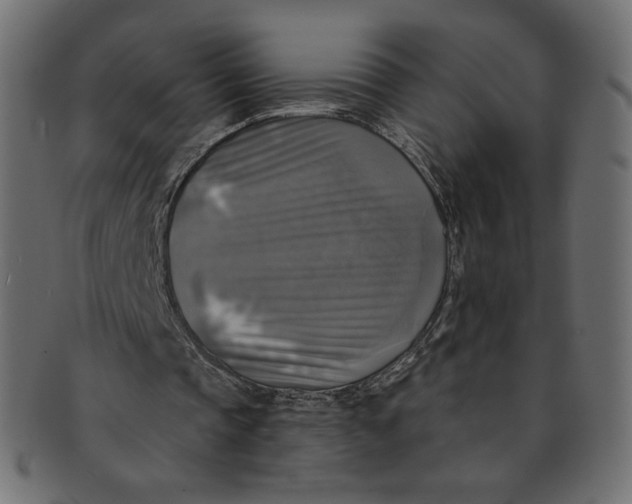 X0000091850337200709261212