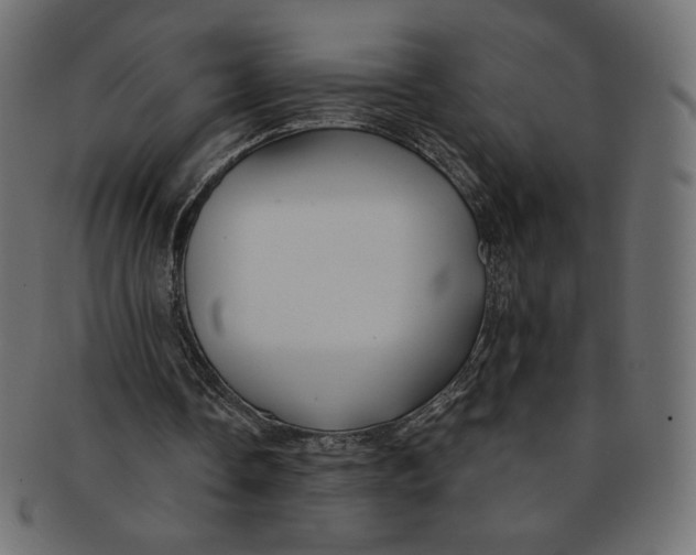 X0000091850338200709261212