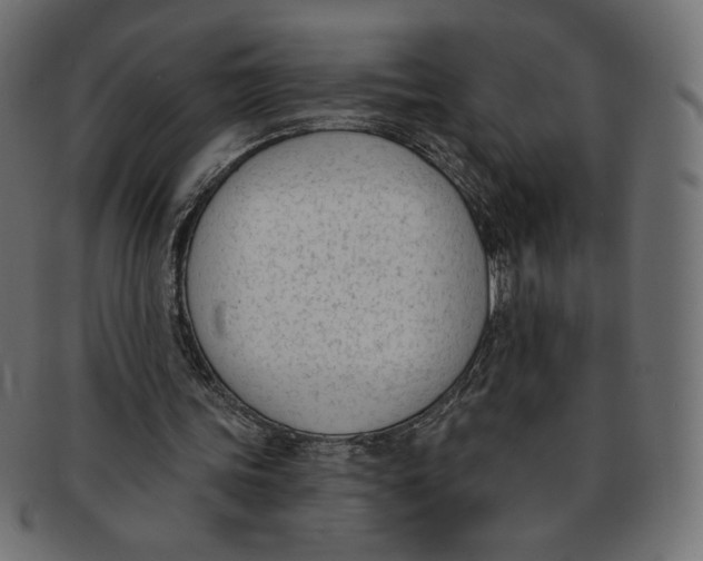 X0000091850339200709261212