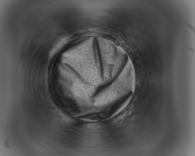 X0000091850341200709261212