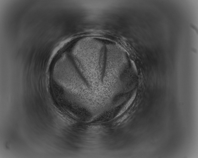 X0000091850342200709261212