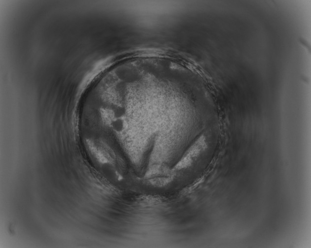 X0000091850343200709261212