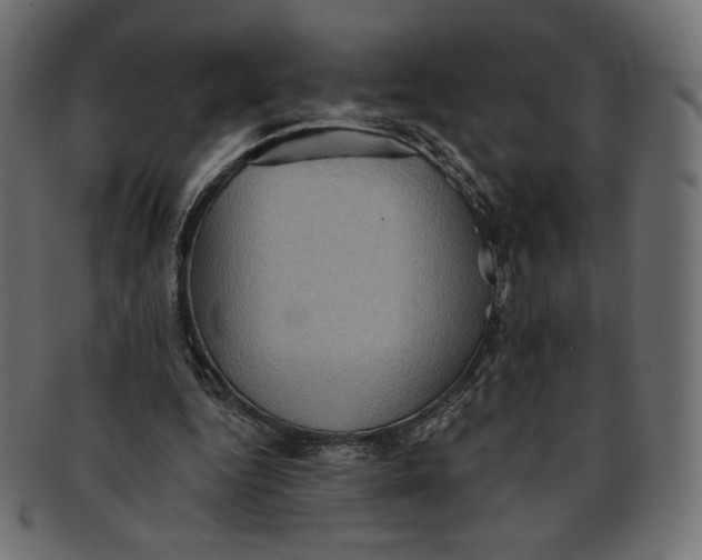 X0000091850344200709261212