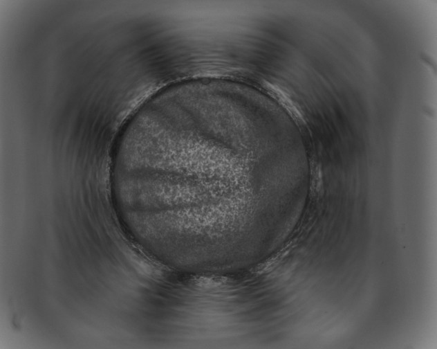 X0000091850346200709261212