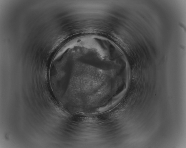 X0000091850347200709261212