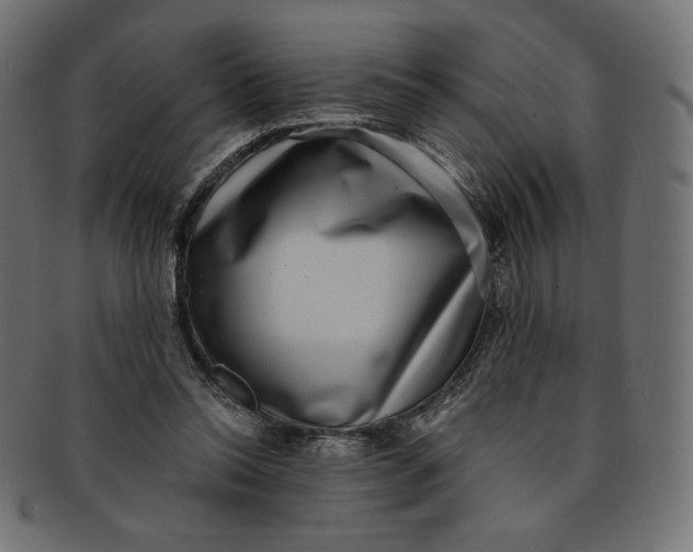 X0000091850350200709261212