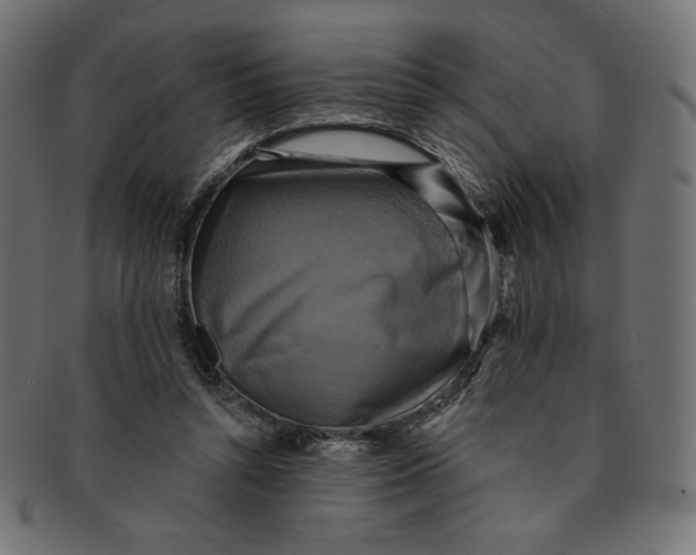 X0000091850352200709261212