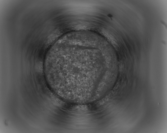 X0000091850353200709261212