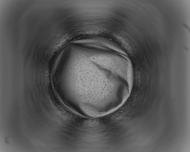 X0000091850354200709261212