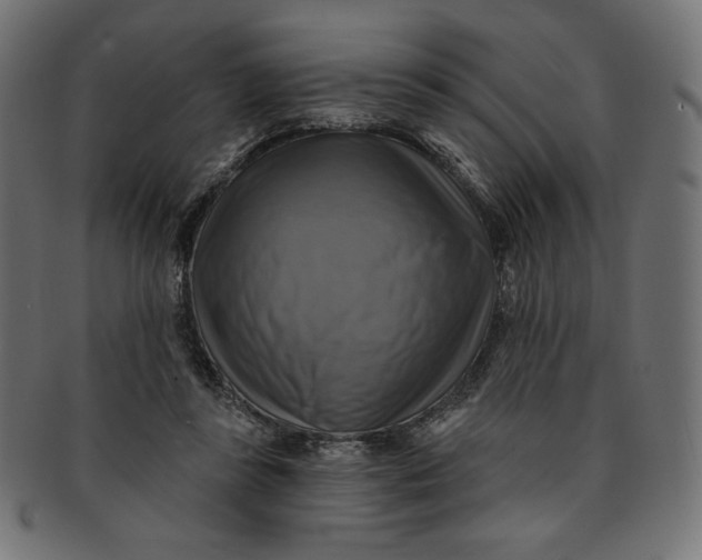 X0000091850355200709261212