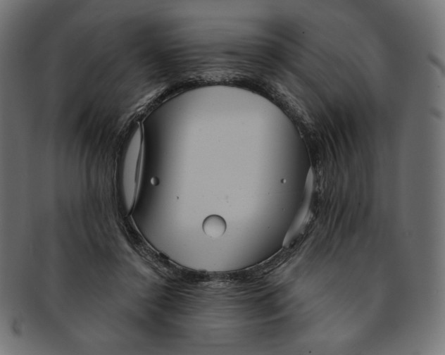 X0000091850356200709261212