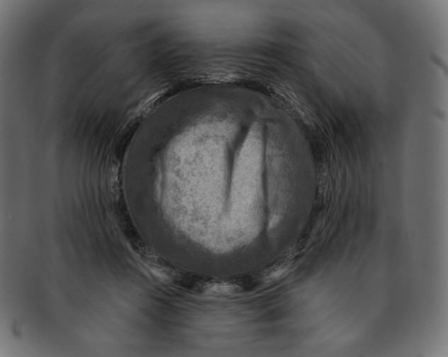 X0000091850360200709261212