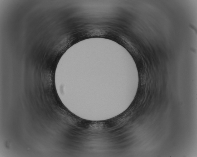 X0000091850362200709261212