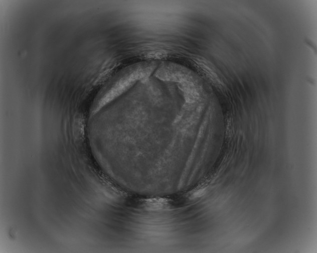 X0000091850363200709261212