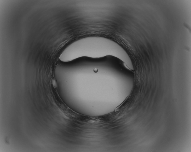 X0000091850364200709261212