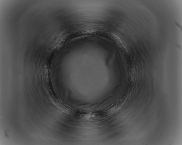 X0000091850366200709261212