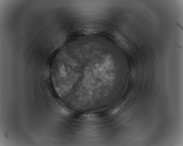 X0000091850367200709261212