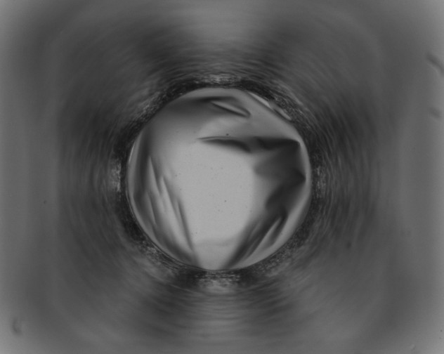 X0000091850368200709261212