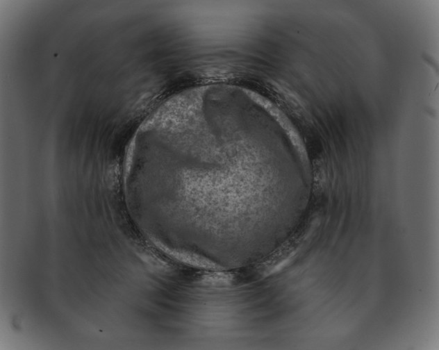 X0000091850369200709261212