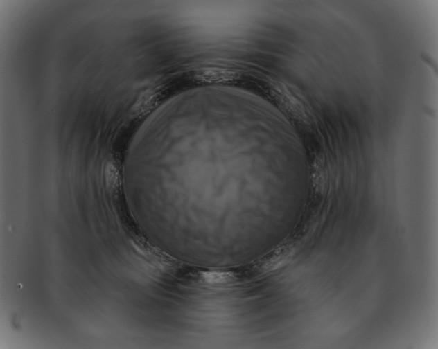 X0000091850371200709261212